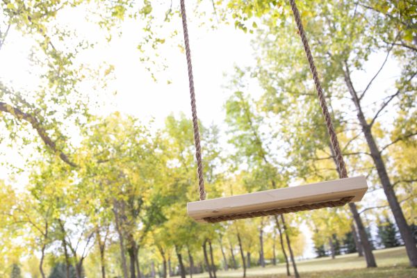 Cost of Tree Swing Installation in Fort Mill