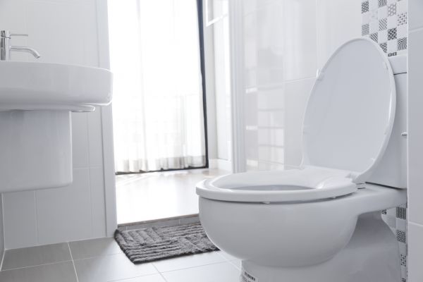 Cost of Toilet Seat Installation in Fort Mill