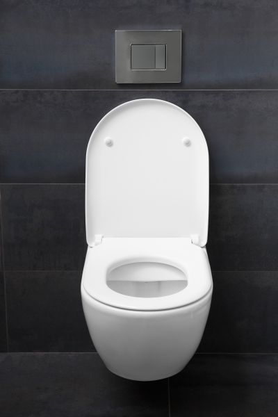 Cost of Toilet Lid Installation in Fort Mill
