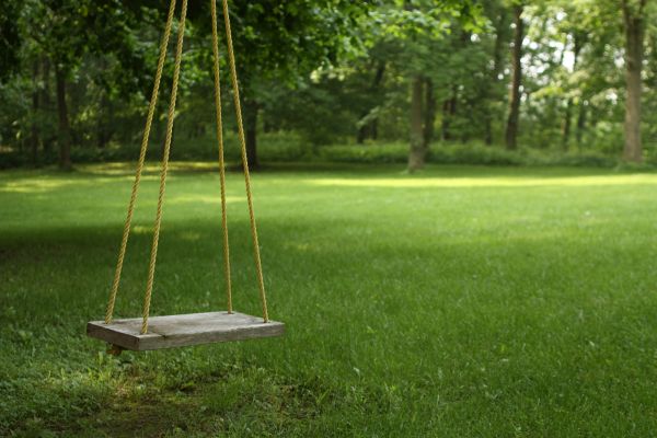 Cost of Rope Swing Installation in Fort Mill
