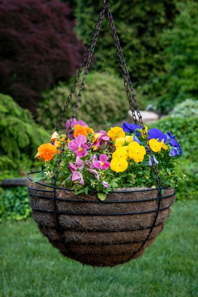 Cost of Hanging Basket Installation in Fort Mill