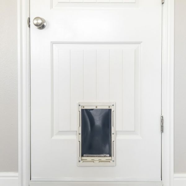 Cost of Pet Door Repair in Fort Mill
