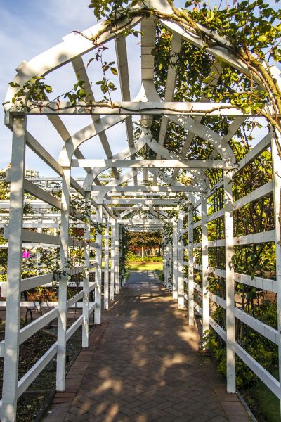 Wood Trellis Construction