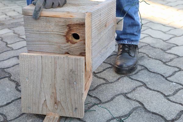 Cost of Birdhouse Mounting in Fort Mill