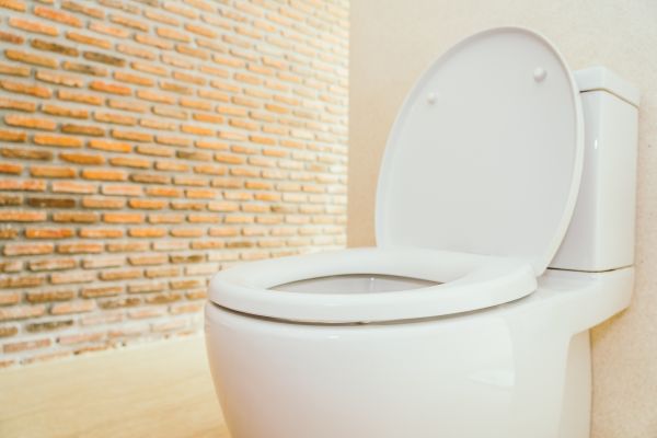 Cost of Toilet Seat Repair in Fort Mill